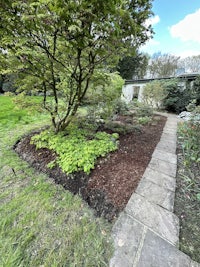 a pathway in a garden with trees and shrubs